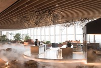 Seesaw Coffee: Thu trọn thiên nhiên trong vòng tay