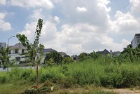 Chủ đầu tư “quên” tiện ích xanh: Ai xử lý?