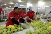 Năm 2018, trao đổi thương mại Việt Nam với thị trường CPTPP đạt gần 75 tỷ USD, trong đó, Việt Nam xuất siêu sang 5 thị trường, gồm: Canada, Chilê, Mexico, Australia và Peru.