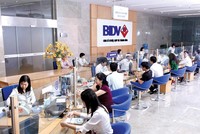 BIDV đang trong giai đoạn đàm phán bán vốn cho đối tác ngoại. Ảnh: Đức Thanh