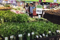 Các giải pháp đóng gói không dùng túi nilon được khuyến khích sử dụng