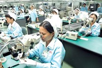 Tăng trưởng của cả khu vực công nghiệp và xây dựng, dịch vụ và nông - lâm nghiệp, đặc biệt là nông nghiệp đều giảm tốc so với năm ngoái.