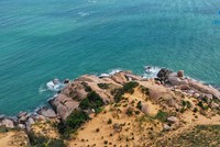 Ninh Thuận “rong câu cho dài” hút doanh nghiệp nghìn tỷ