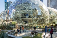 Spheres Amazon: Rừng trong phố, phố trong rừng