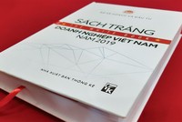 Sách trắng Doanh nghiệp 2019