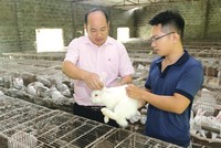 Nhờ nguồn vốn tín dụng chính sách, người dân nghèo ở Ninh Bình có cơ hội chuyển đổi cây trồng và hướng đến chăn nuôi.