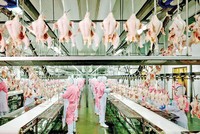 Các dây chuyền chế biến gia cầm hiện đại góp phần quan trọng giá tăng giá trị nông sản.