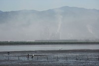 Quảng Ninh đã có lộ trình dừng khai thác than lộ thiên tại Hạ Long và di dời 2 nhà máy xi măng tại Hoành Bồ