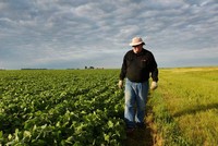Anh William Hejl đang kiểm tra cánh đồng trồng đậu nành của mình tại thành phố Amenia, bang North Dakota, trong ảnh chụp ngày 6-7-2018 - Ảnh: REUTERS