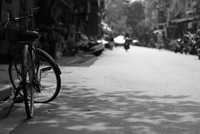 Ảnh: Thành Nguyễn