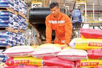 DPM: Nửa đầu năm ra lò nhiều sản phẩm mới