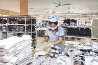 Các doanh nghiệp dệt may đang gặp khó khăn từ cạnh tranh lao động và chi phí sản xuất tăng.