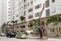 Nhà ở xanh giá rẻ, bài toán khó lại thêm biến số