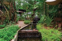 Ao cá trong vườn