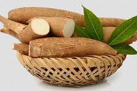 Tính chung 7 tháng đầu năm 2019, xuất khẩu sắn ước đạt 242.000 tấn, trị giá 51 triệu USD, giảm 57,6% về lượng và giảm 58,5% về trị giá so với cùng kỳ năm 2018.