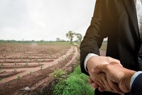 Nhiều địa phương chuyển đổi mục đích sử dụng đất không đúng quy hoạch, sử dụng sai mục đích, gây lãng phí và thất thoát tài sản nhà nước. Ảnh: Shutterstock