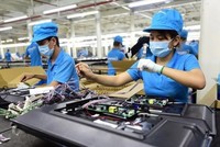 Hà Nội có 13 doanh nghiệp có tên trong Danh mục. TP.HCM có 38 doanh nghiệp..