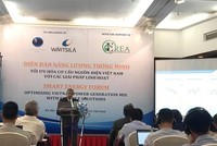 Đầu tư cho năng lượng tái tạo là đường đi tất yếu của Việt Nam nhằm đảm bảo an ninh năng lượng trong tương lai.