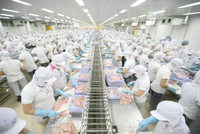 Ngành công nghiệp chế biến, chế tạo tiếp tục duy trì mức tăng nhẹ, tăng 3,9% so với tháng trước và tăng 9% so với cùng kỳ năm 2018