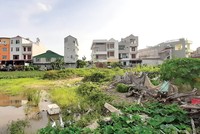 Nhiều khu đất đấu giá tại Bắc Giang được người mua đẩy giá lên cao, sau đó bỏ của chạy lấy người