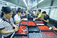 Nếu giảm giờ làm, siết giờ làm thêm, nhiều doanh nghiệp sẽ gặp khó trong việc đảm bảo sản xuất và cạnh tranh. Ảnh: Đ.T