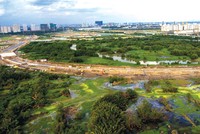 Những lô đất vàng cuối cùng ở Thủ Thiêm sắp có chủ