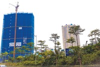 Khách hàng săn lùng căn hộ cao cấp sắp bàn giao tại khu vực quận Tây Hồ