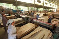 Việc kiểm soát nguồn gốc xuất xứ hàng hóa cần được thắt chặt trong bối cảnh rất dễ xảy ra tình trạng đội lốt hàng hóa Việt Nam xuất khẩu vào các thị trường chủ lực như Mỹ, EU Đơn vị: Tỷ USD. Nguồn: Tổng cục Hải quan. Ảnh: Đức Thanh