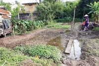 Khu đất này của bà Loan mua cả chục năm nay, nhưng không xây được nhà, không làm được hồ sơ giấy tờ