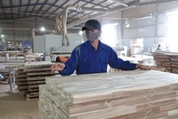 Hiện ngành gỗ Việt Nam có trên 800 doanh nghiệp FDI, trong đó 70% đến từ Trung Quốc, Đài Loan, Hồng Kông… Ảnh: Đức Thanh