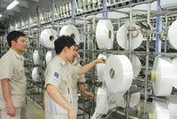 Tổng tài sản tính đến thời điểm 31/12/2018 của PVTex có khoảng 5.236 tỷ đồng, trong khi nợ phải trả lên tới 7.726 tỷ đồng.