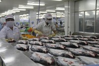 Việt Nam xếp hạng 67 về chỉ số cạnh tranh toàn cầu. Ảnh: TTXVN.