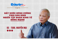 Đất nước hùng cường phải sản sinh nhiều tập đoàn kinh tế hùng mạnh