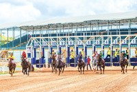 Ở phía Nam, mới có trường đua ngựa ở Bình Dương, nhưng dự án này chưa được phép kinh doanh đặt cược. Ảnh: Đại Nam