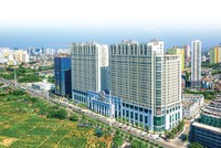 Roman Plaza đang chuẩn bị bàn giao cho khách hàng.