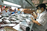 Việt Nam đang là điểm đầu tư của nhiều doanh nghiệp da giày nước ngoài. Ảnh: Đức Thanh