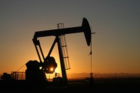 Goldman Sachs dự báo sản lượng dầu đá phiến của Mỹ chỉ tăng 0,7 triệu thùng/ngày năm 2020, thấp hơn mức dự báo 1 triệu thùng/ngày trước đó. Ảnh: AFP