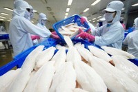 Với khoản lỗ lớn trong năm nay, lỗ luỹ kế của Hùng Vương đã tăng lên mức 892 tỷ đồng