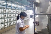 Kế hoạch vận hành lại toàn bộ Nhà máy Xơ sợi polyester Đình Vũ còn gặp rất nhiều chông gai. Ảnh: Đức Thanh