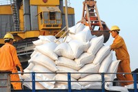 Tổng công ty Lương thực miền Nam là doanh nghiệp có vốn nhà nước lỗ lớn nhất lên tới 1.834,4 tỷ đồng.