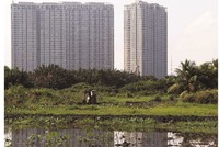 Ruộng vườn, đất đai bị hoang phế là tình cảnh chung của nhiều dự án "treo" suốt nhiều năm tại TP.HCM. Ảnh: Trọng Tín.