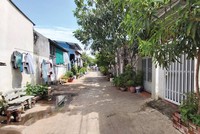 UBND TP. Vũng Tàu thu hồi nhiều khu đất công bị lấn chiếm