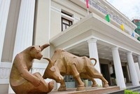 Các chỉ số chứng khoán mới được phát triển theo yêu cầu đầu tư của các quỹ đầu tư trong nước.