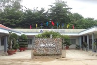 Kết quả hoạt động của Công ty Đá Núi Nhỏ từ đầu năm đến nay giảm sút khá mạnh.