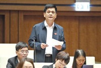 Đại biểu Nguyễn Lâm Thành (Lạng Sơn) phát biểu tại nghị trường Quốc hội chiều 20/11. Ảnh: Ngọc Thắng