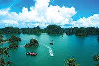 Để doanh nghiệp phát triển bền vững: Chuyên gia tài chính, kế toán cũng phải có trách nhiệm