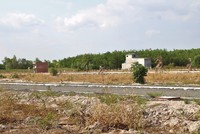 Nhiều dự án tại Bà Rịa – Vũng Tàu để cỏ mọc um tùm 