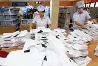 Tổng công ty May 10 đã tích lũy được nguồn vốn lớn và không ngừng phát triển thương hiệu.