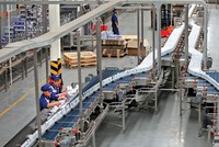 Nền kinh tế đang cần rất nhiều doanh nghiệp mạnh. Trong ảnh: Dây chuyền sản xuất sữa của Tập đoàn TH. Ảnh: Đức Thanh