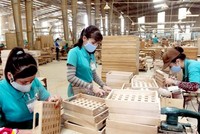 Sau những tuyên bố mạnh mẽ, bao nhiêu điều kiện kinh doanh đã được đơn giản, cắt bỏ trong năm 2019?